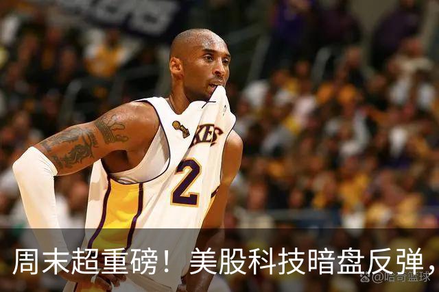 周末超重磅！美股科技暗盘反弹，特朗普回应是否袭击伊朗，物理ai高度发酵