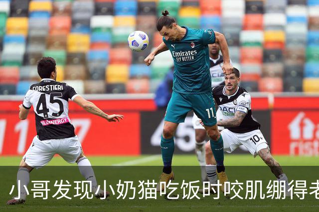 小哥发现小奶猫吃饭时咬肌绷得老紧，以为有什么问题，发帖后被网友集体骂醒：你这是给婴儿啃压缩饼干？