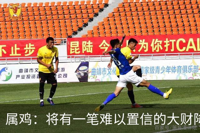 属鸡：将有一笔难以置信的大财降临，2027年，你要乐开花！