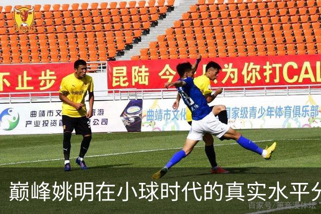 巅峰姚明在小球时代的真实水平分析