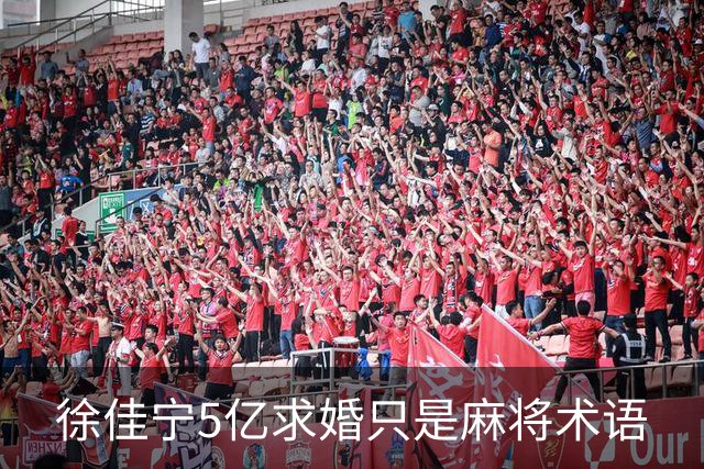 徐佳宁5亿求婚只是麻将术语