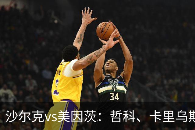 沙尔克vs美因茨：哲科、卡里乌斯首发，李在城、阿米里出战