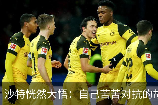 沙特恍然大悟：自己苦苦对抗的胡塞武装，早就跟美划好了红线