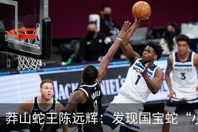 莽山蛇王陈远辉：发现国宝蛇“小青龙”，养100多条每条价格千万