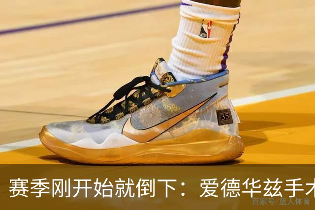 赛季刚开始就倒下：爱德华兹手术，雷霆两将同日重伤